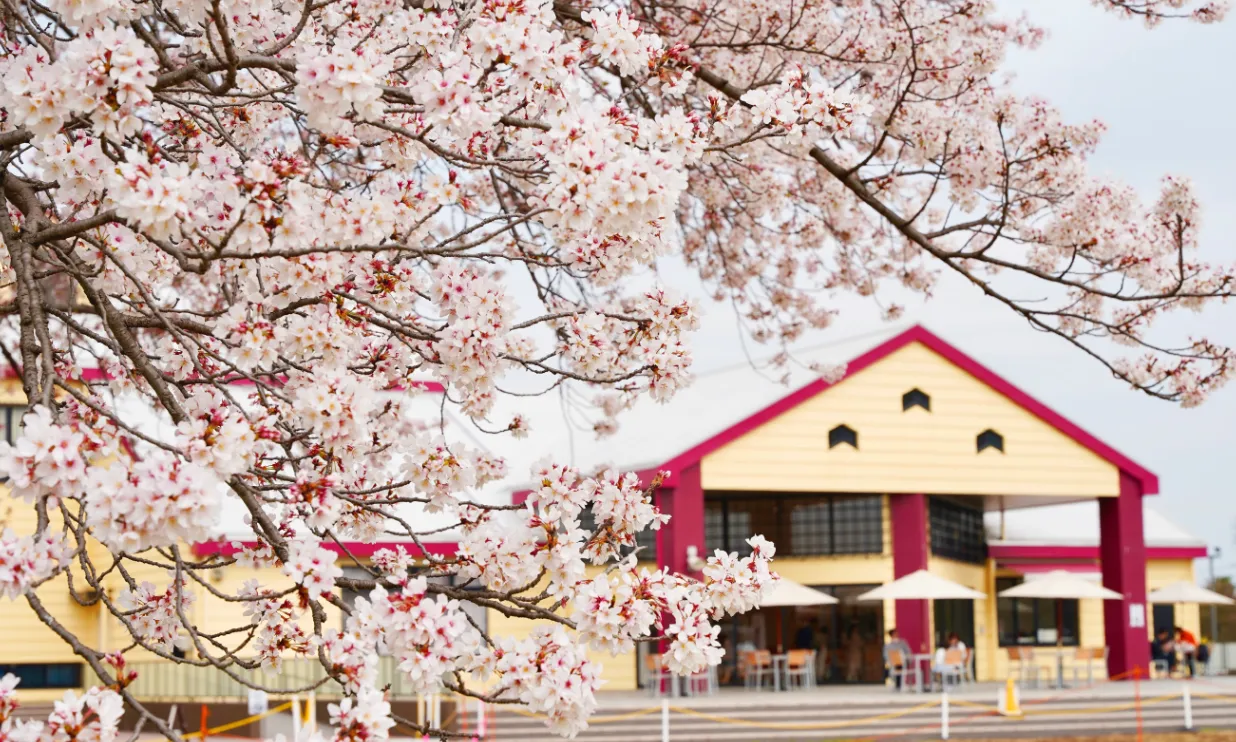 キービジュアル中央