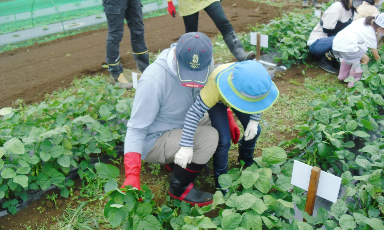 キービジュアル右