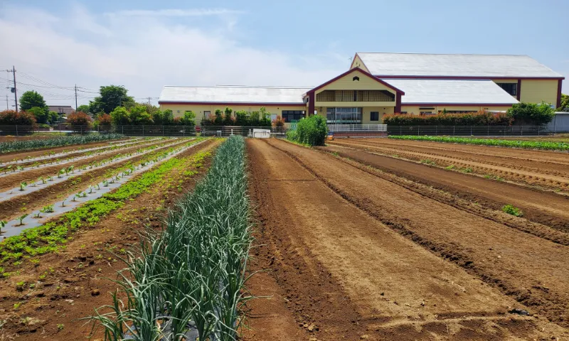 市民農園ギャラリー画像２