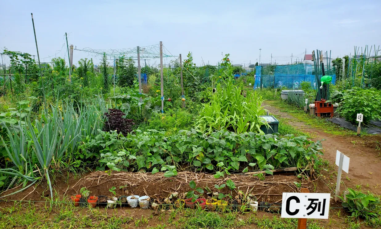 キービジュアル中央