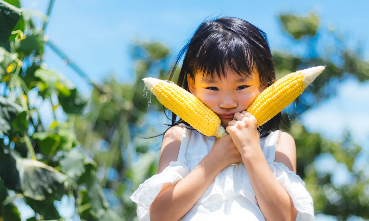 キービジュアル左