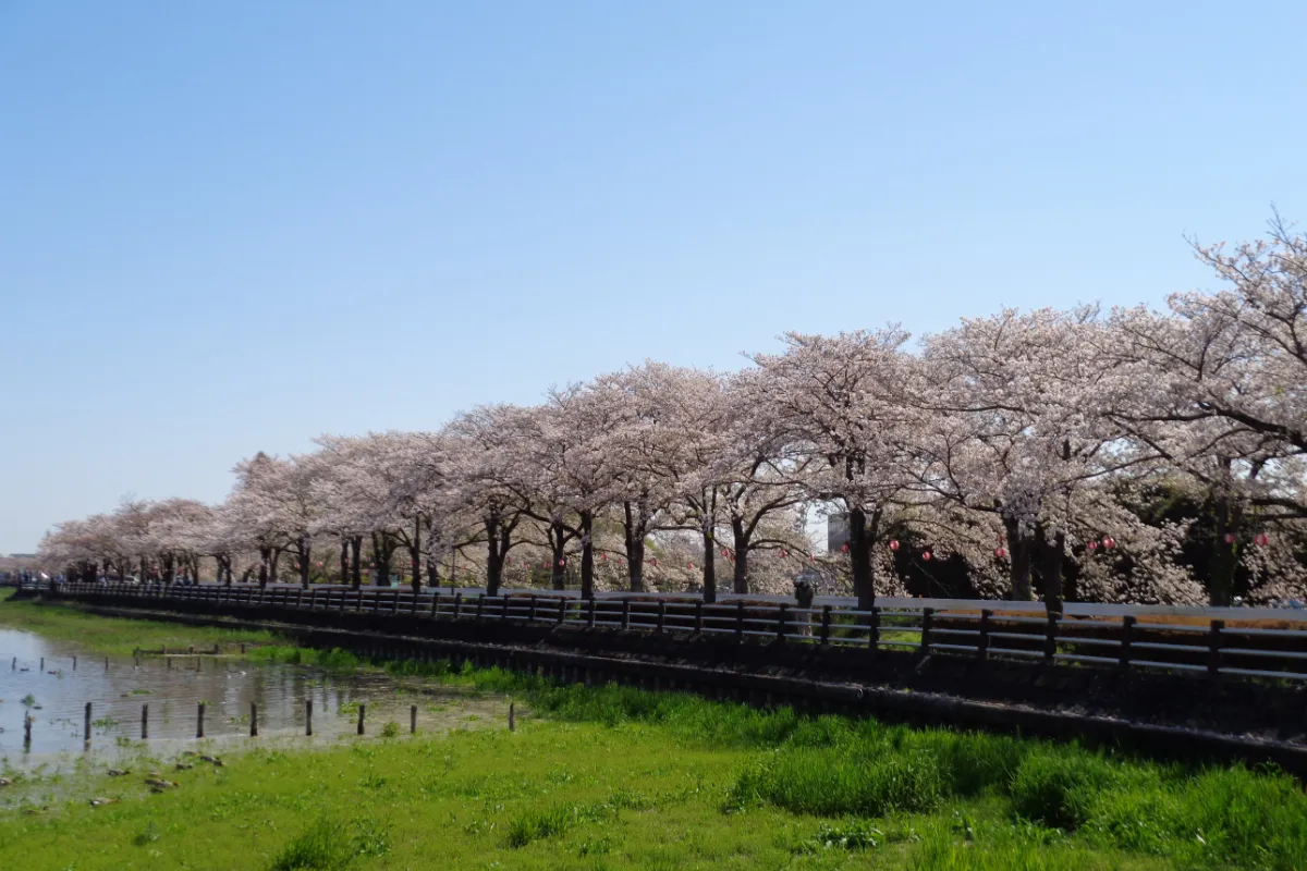 地域とエリア案内