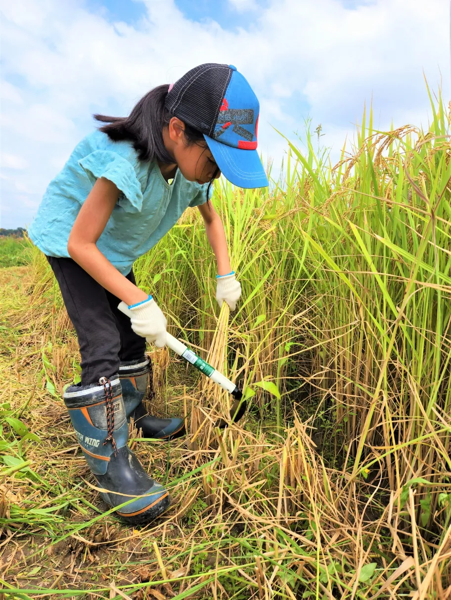 グリーンツーリズム拠点施設について２