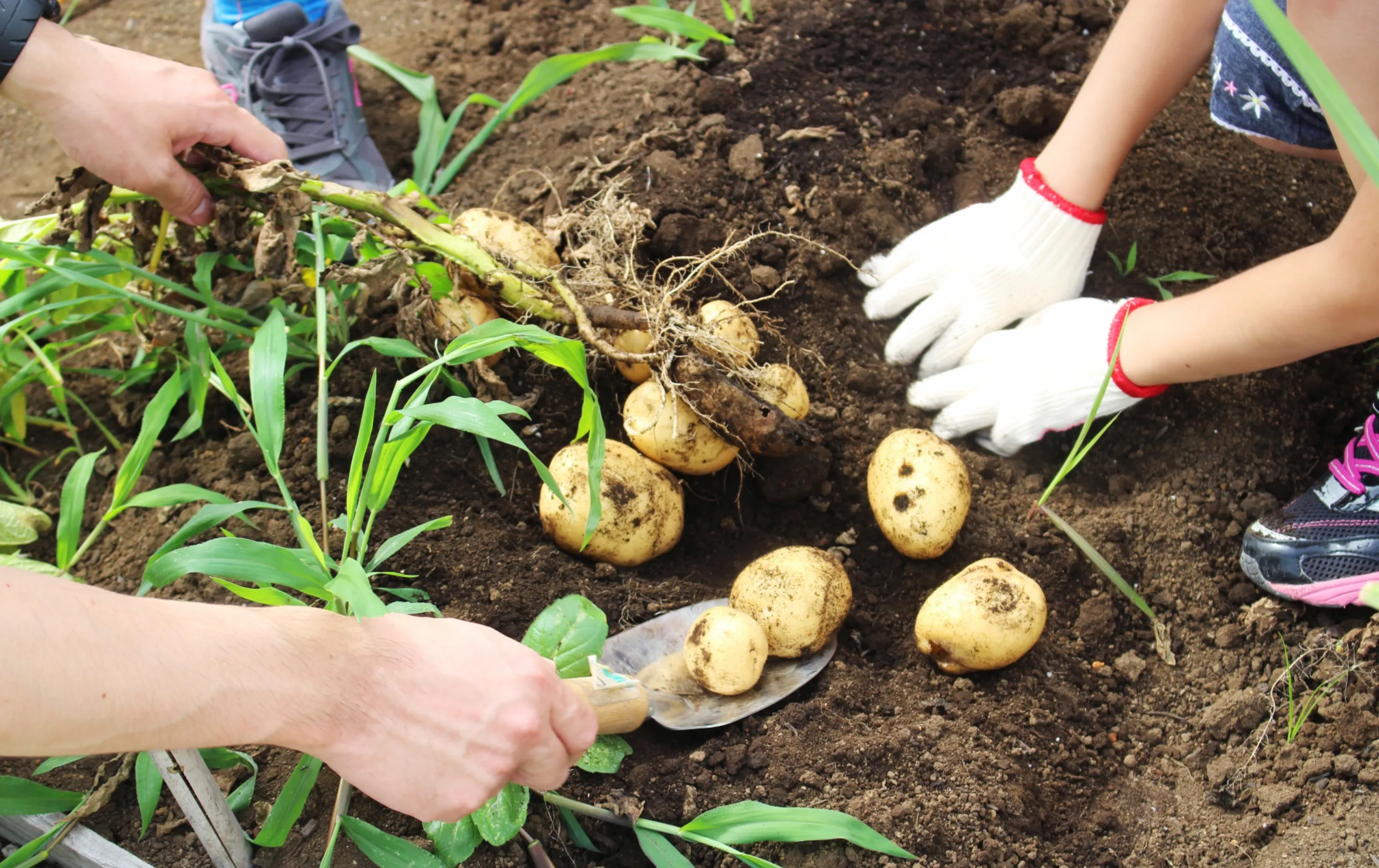 キービジュアル中央