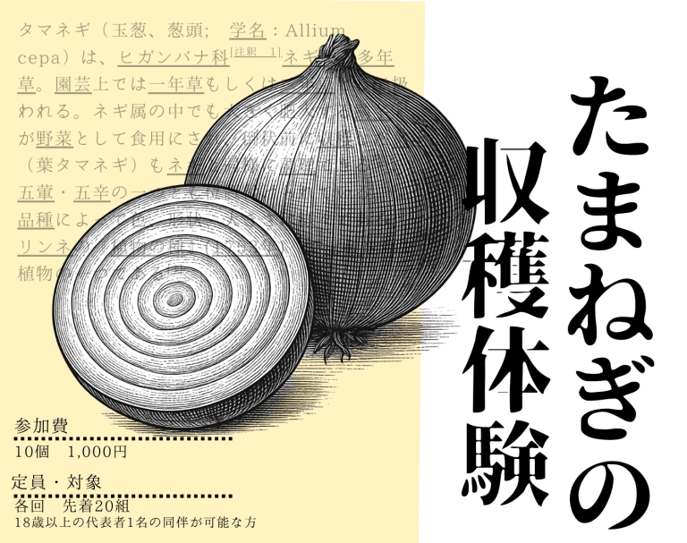 【6/20(土)】玉ねぎ収穫体験会