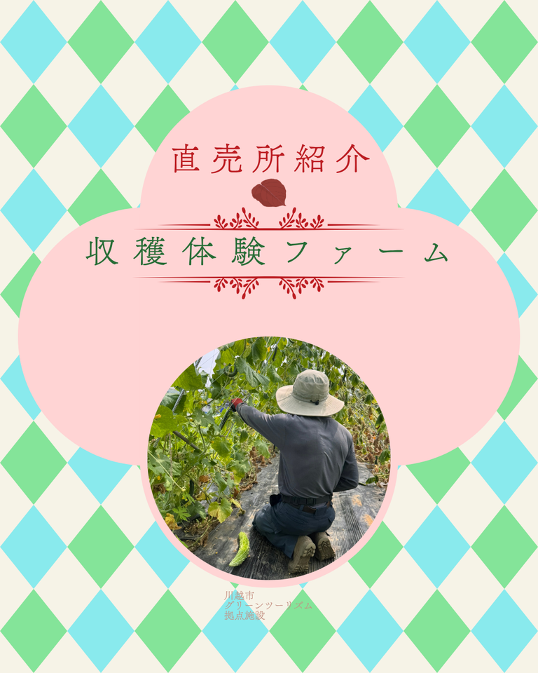 収穫体験ファーム、８月、農業散策日誌