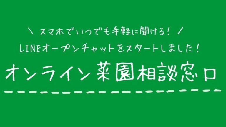 市民農園利用者向け　オンライン菜園相談窓口を開設しました！
