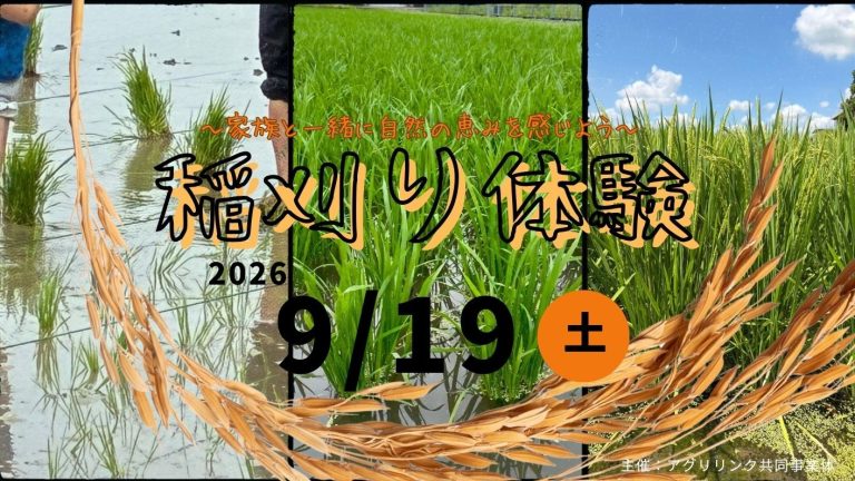 【9月19日(土)開催】新米３kg付！稲刈り体験