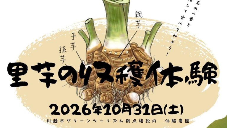 【10月31日(土)開催】里芋収穫体験の募集を開始します！