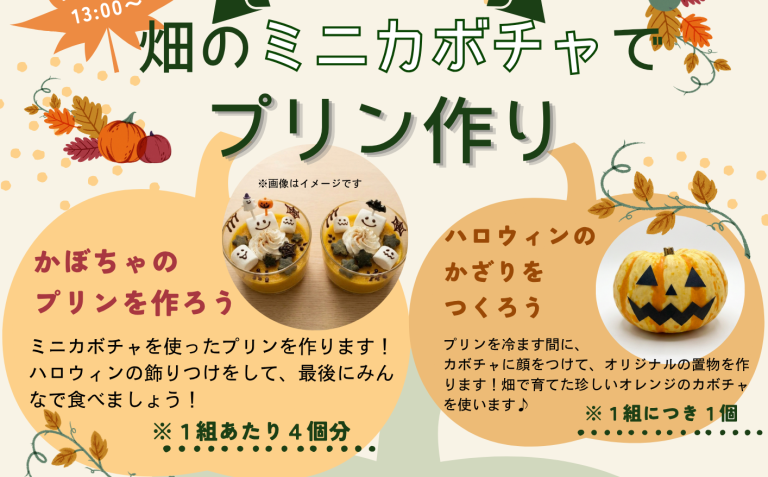 【10/31(土)開催！】畑のミニカボチャでプリン作り