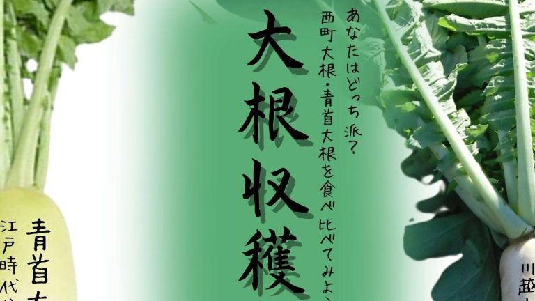 【12月5日(土)開催】大根収穫体験の募集を開始します！