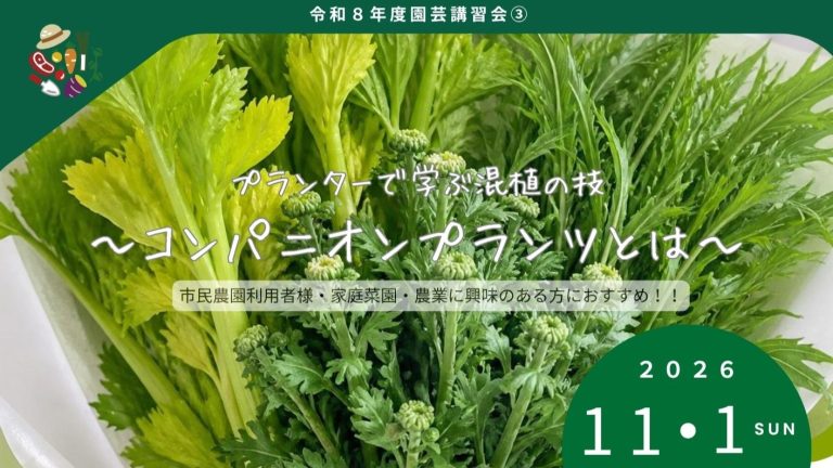 【11月1日(日)開催！】「プランターで学ぶ混植の技」園芸講習会のお知らせ